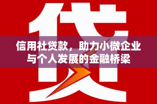 信阳信用社贷款，助力小微企业与个人发展的金融桥梁