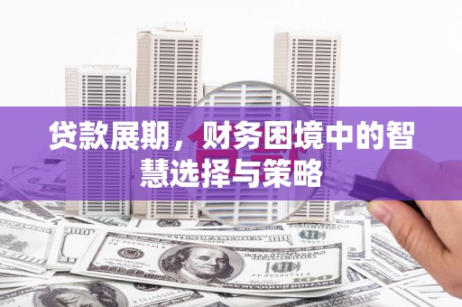 温宿贷款展期，财务困境中的智慧选择与策略