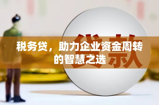 凤县税务贷，助力企业资金周转的智慧之选