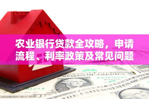 洪雅农业银行贷款全攻略，申请流程、利率政策及常见问题解析