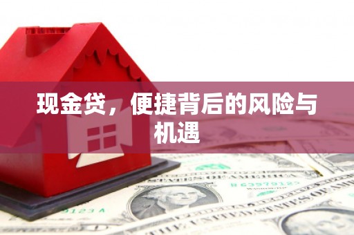 海丰现金贷，便捷背后的风险与机遇