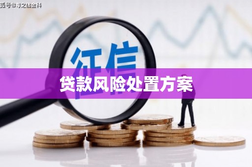 张掖贷款风险处置方案