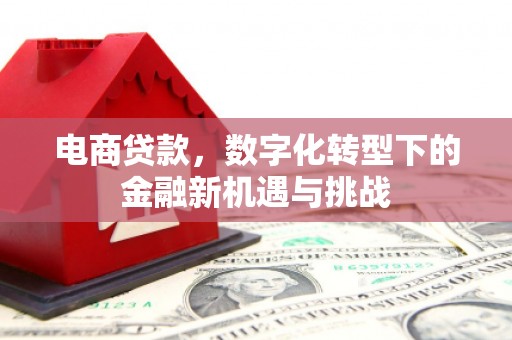 彬县电商贷款，数字化转型下的金融新机遇与挑战