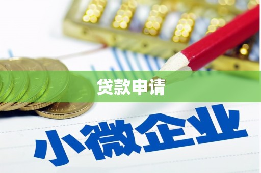 全椒贷款申请