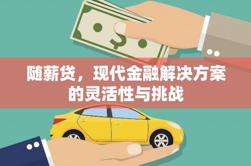 云浮随薪贷，现代金融解决方案的灵活性与挑战