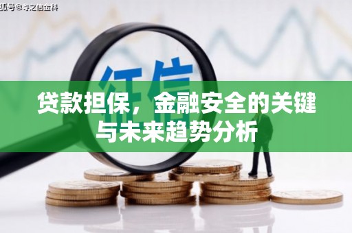 赫山贷款担保，金融安全的关键与未来趋势分析