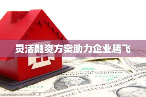 外埔灵活融资方案助力企业腾飞