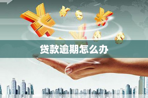 始兴贷款逾期怎么办