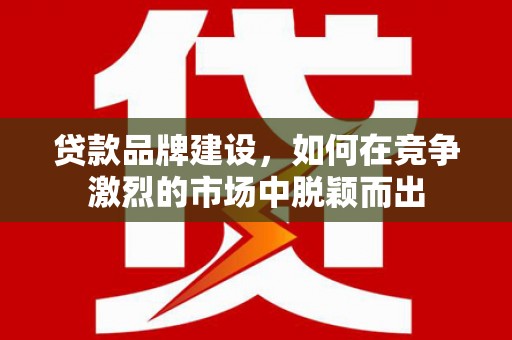 项城贷款品牌建设，如何在竞争激烈的市场中脱颖而出