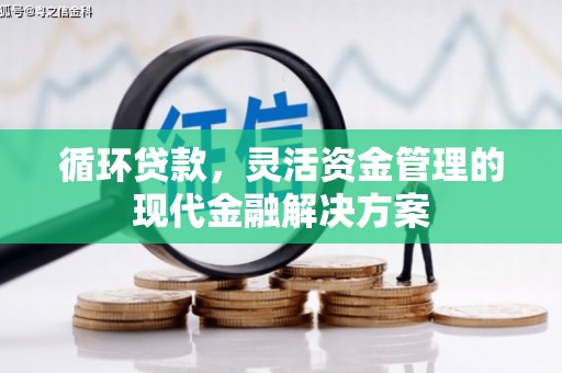 西夏循环贷款，灵活资金管理的现代金融解决方案