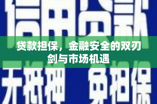 温宿贷款担保，金融安全的双刃剑与市场机遇