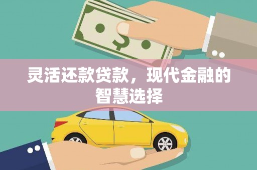 萨嘎灵活还款贷款，现代金融的智慧选择