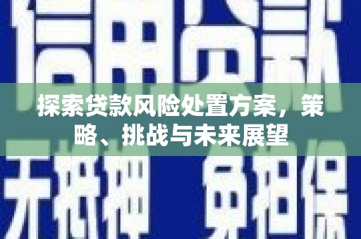 嵊州探索贷款风险处置方案，策略、挑战与未来展望