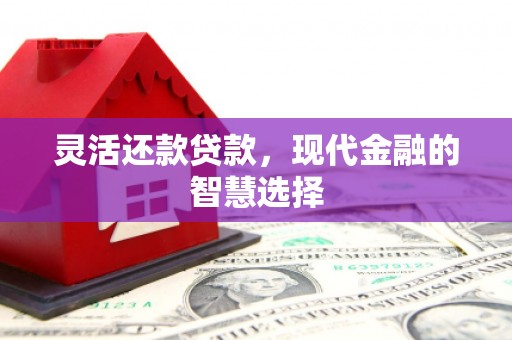 学甲灵活还款贷款，现代金融的智慧选择