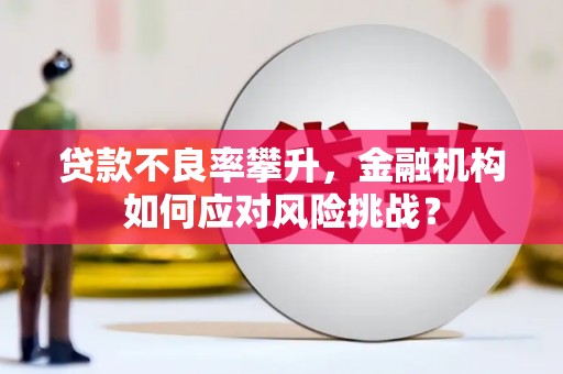 林甸贷款不良率攀升，金融机构如何应对风险挑战？
