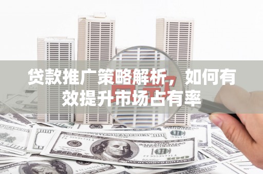 贞丰贷款推广策略解析，如何有效提升市场占有率