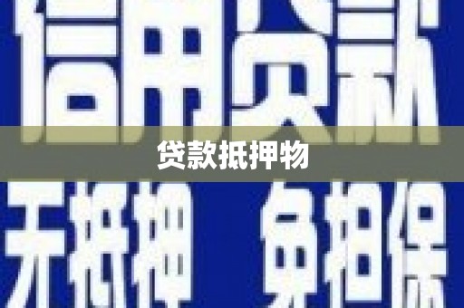 南化贷款抵押物