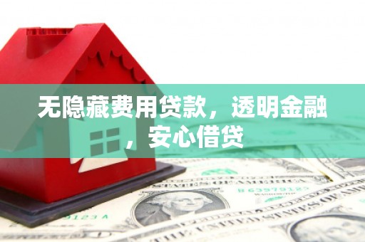新泰无隐藏费用贷款，透明金融，安心借贷