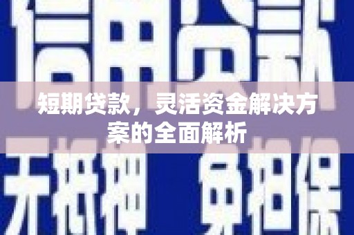 太和短期贷款，灵活资金解决方案的全面解析