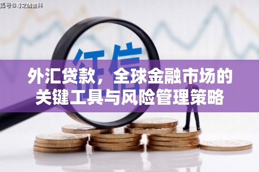 德保外汇贷款，全球金融市场的关键工具与风险管理策略