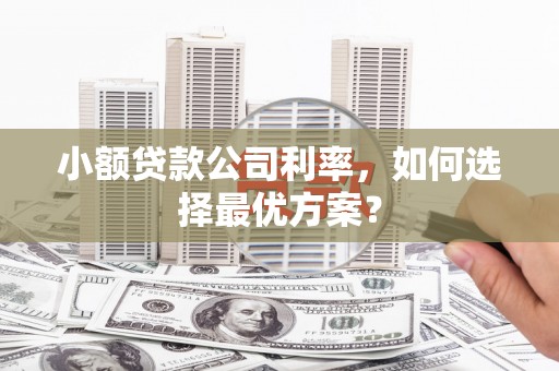 潍坊小额贷款公司利率，如何选择最优方案？