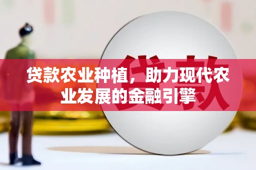 湖滨贷款农业种植，助力现代农业发展的金融引擎