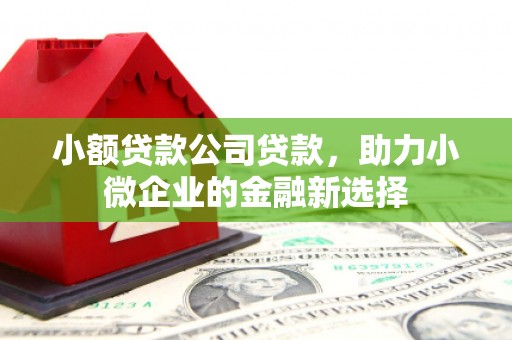 双江小额贷款公司贷款，助力小微企业的金融新选择