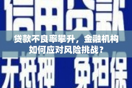 嘉禾贷款不良率攀升，金融机构如何应对风险挑战？