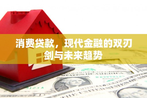 华龙消费贷款，现代金融的双刃剑与未来趋势