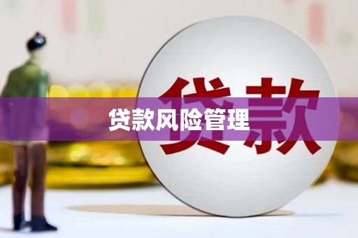 东势贷款风险管理