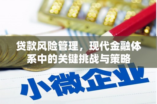 茶山贷款风险管理，现代金融体系中的关键挑战与策略