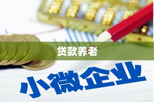 邢台贷款养老