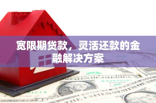 岳麓宽限期贷款，灵活还款的金融解决方案