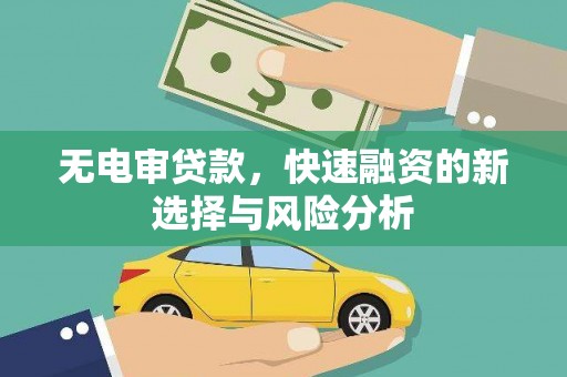 田阳无电审贷款，快速融资的新选择与风险分析