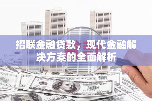 大甲招联金融贷款，现代金融解决方案的全面解析