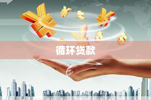 瑞穗循环贷款