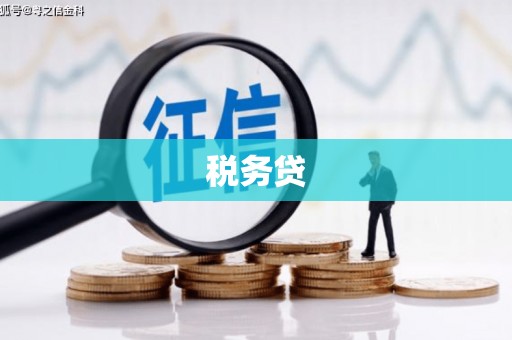 社头税务贷