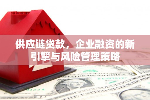 剑阁供应链贷款，企业融资的新引擎与风险管理策略