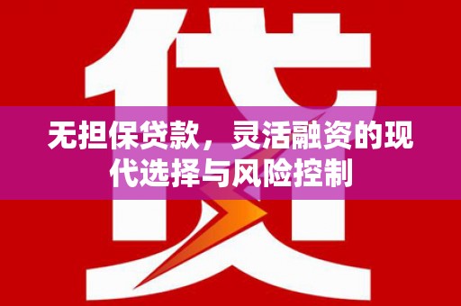 溆浦无担保贷款，灵活融资的现代选择与风险控制