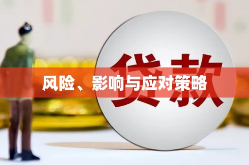潭子风险、影响与应对策略