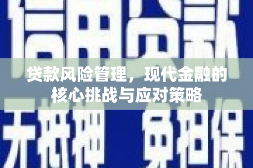 双塔贷款风险管理，现代金融的核心挑战与应对策略