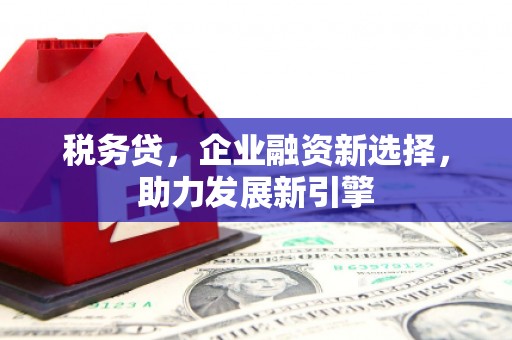 晋江税务贷，企业融资新选择，助力发展新引擎