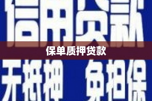 应县保单质押贷款