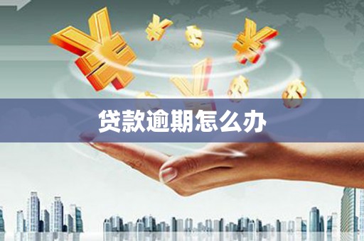 施秉贷款逾期怎么办