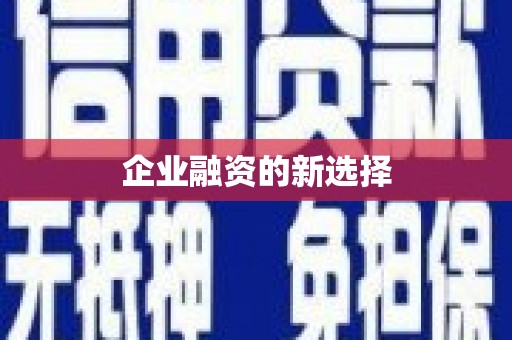 新河企业融资的新选择