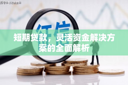 南充短期贷款，灵活资金解决方案的全面解析
