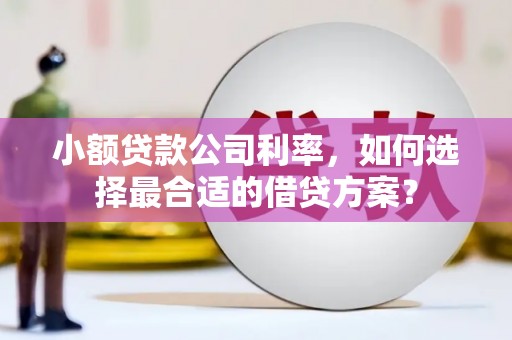 田中小额贷款公司利率，如何选择最合适的借贷方案？