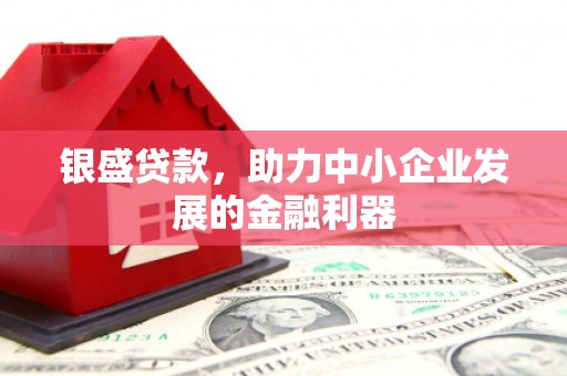 桃山银盛贷款，助力中小企业发展的金融利器