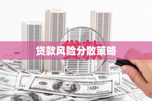 瑞昌贷款风险分散策略