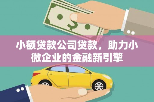 巴塘小额贷款公司贷款，助力小微企业的金融新引擎